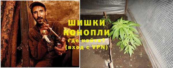соль ск Ельня