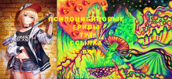 МДПВ Дмитровск