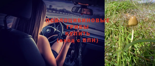 МДПВ Дмитровск