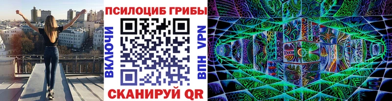 Купить где Канск Псилоцибиновые грибы Psilocybe